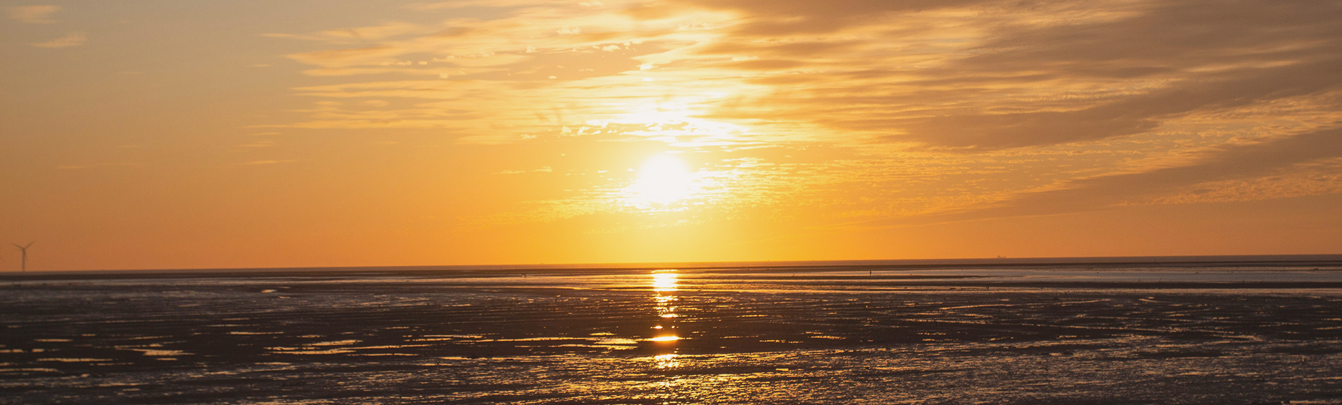 For Anyone Who's Still Figuring It Out