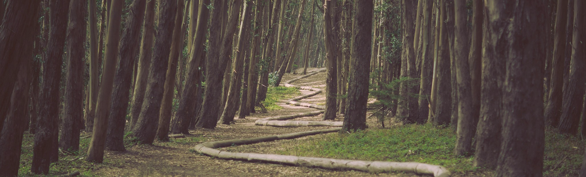 You Don't Have to Have It All Figured Out